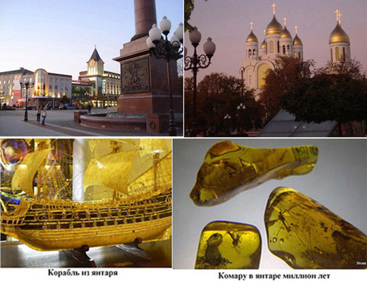 Адмирал Эссен, глава 16. В Калининград