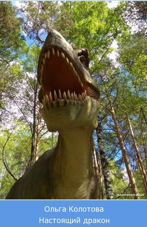 Настоящий дракон