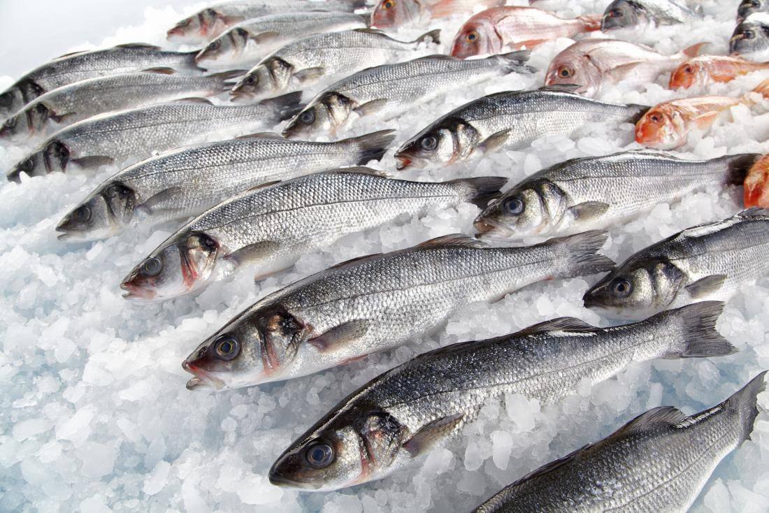 Soñar con pescado grandes