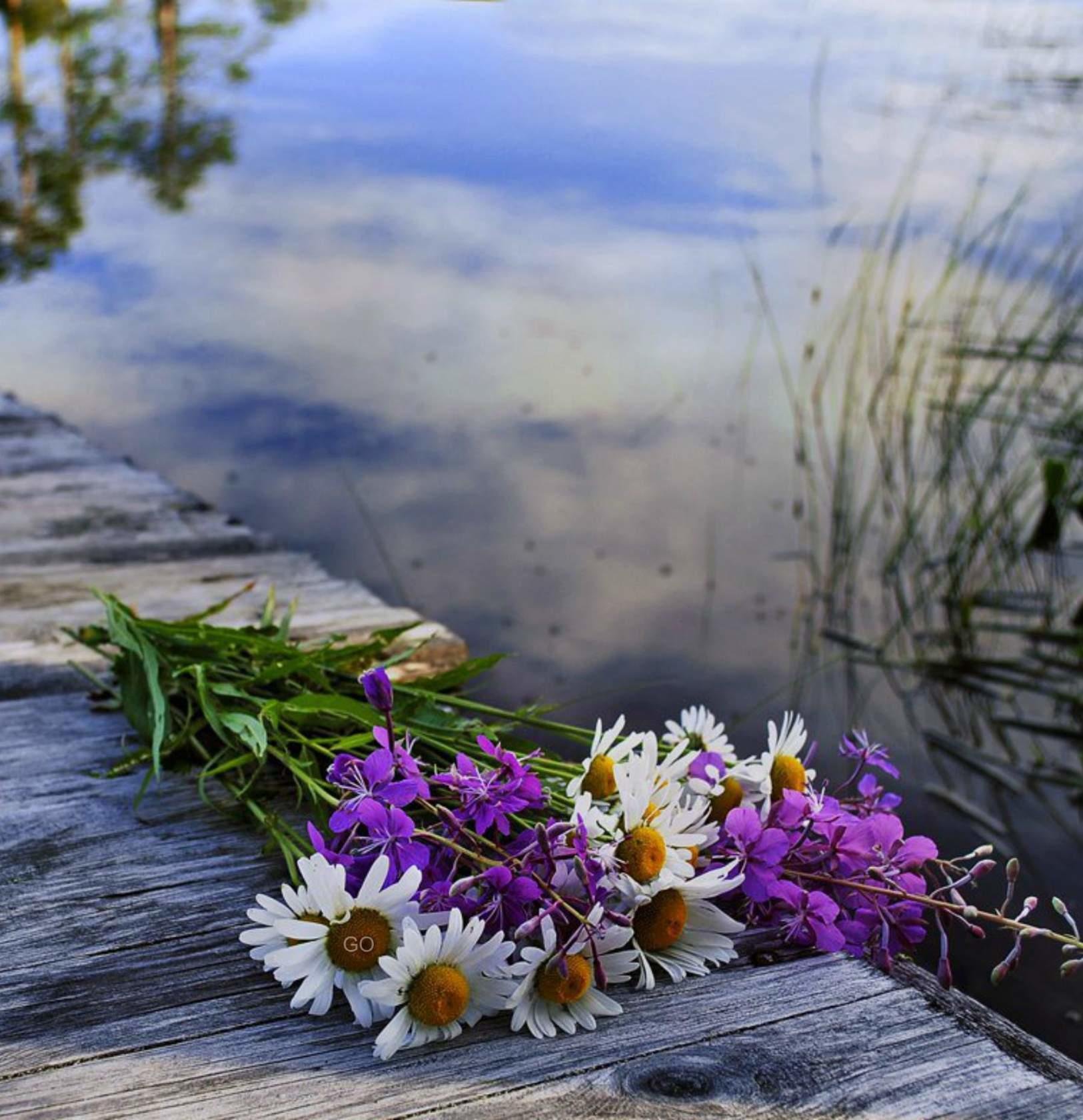 Весной хочется жить. Цветы у реки. Полевые цветы. Цветы на берегу реки. Красивый букет цветов на природе.