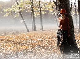 Осень-это не только когда...