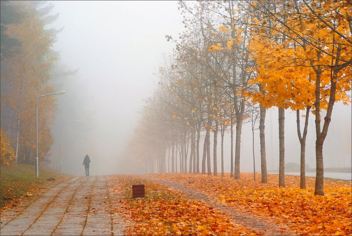 Осенние холодные туманы. Осень в городе. Осенний туман в городе. Осень туман. Туман осенью в городе.