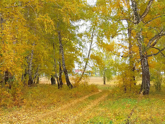 Что же мною в жизни движет?