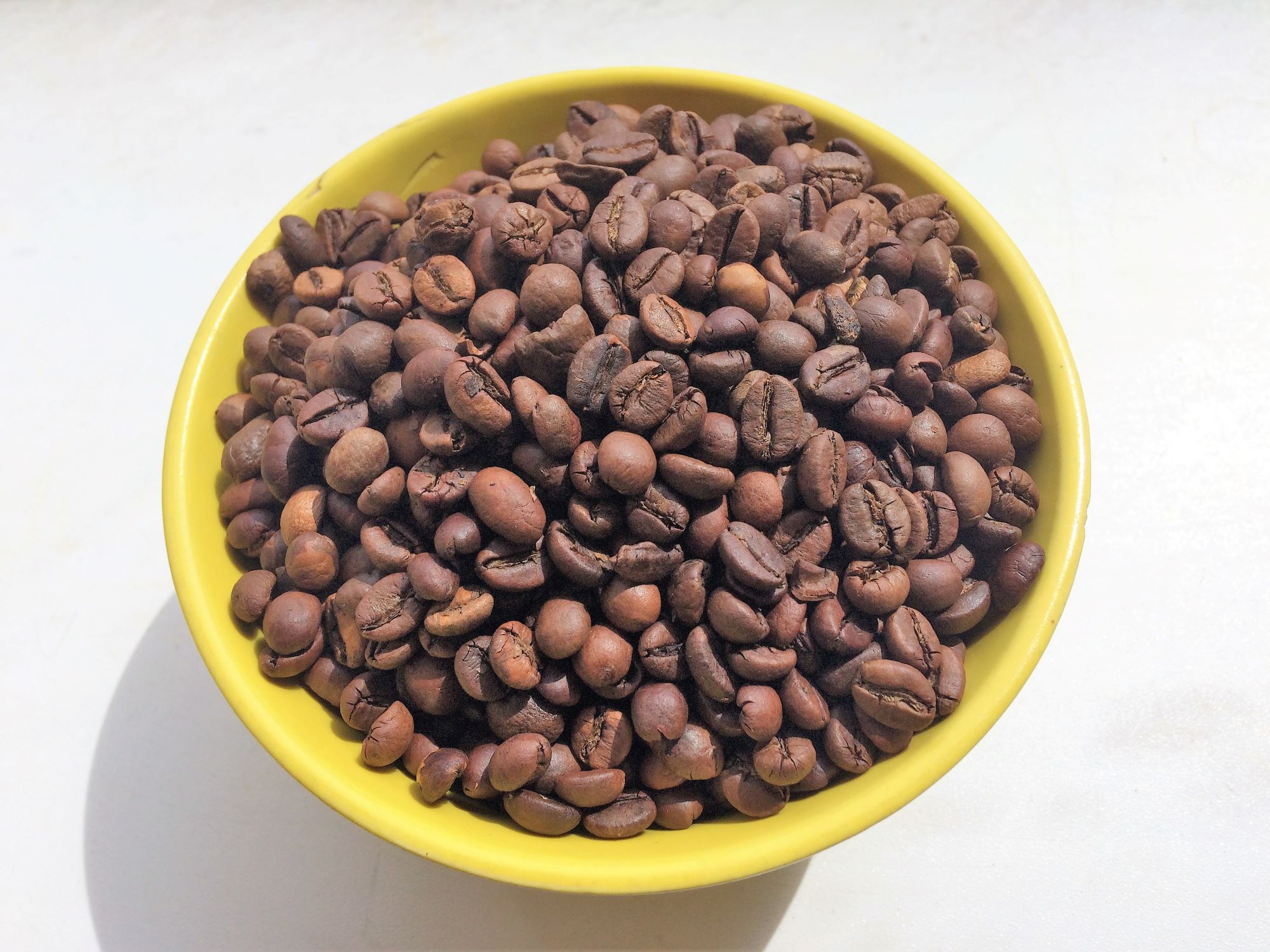 Купи 7 кофе. Разновидность кофе в зернах. Типика вид кофе.