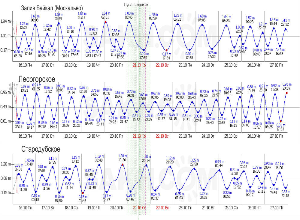 Приливы и отливы на Сахалине. График