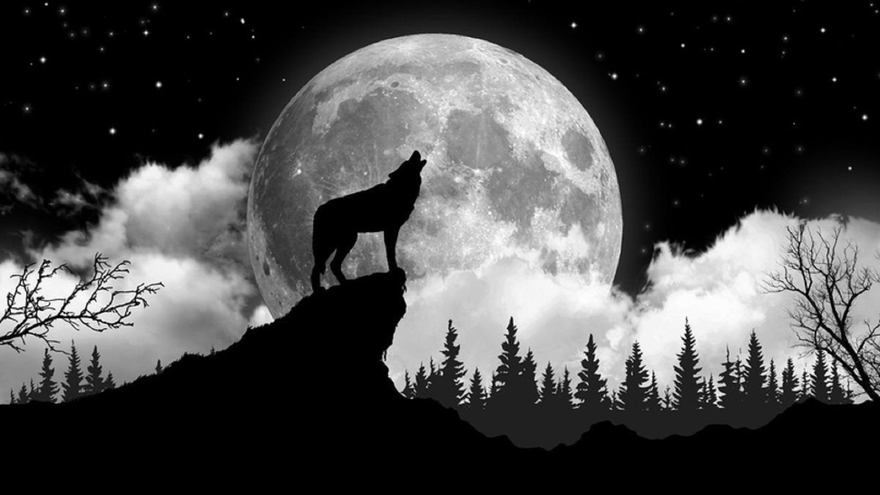Вою под луной песня. Волк и Луна. Волк воет на луну. Силуэт волка. Воющий волк.