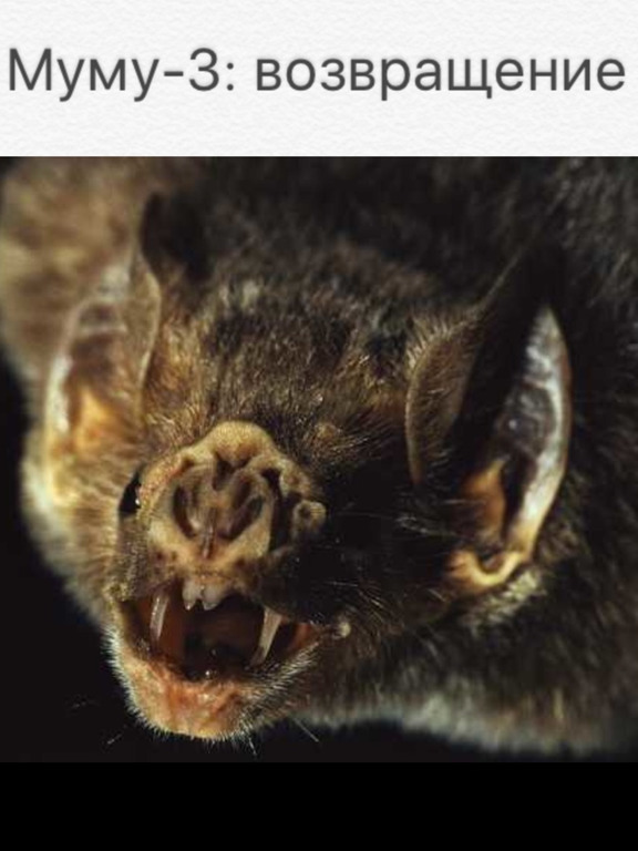 7. Каренинские дети мифы и реальность