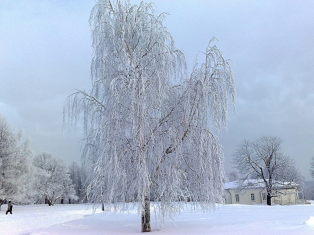 Долгожданный снег