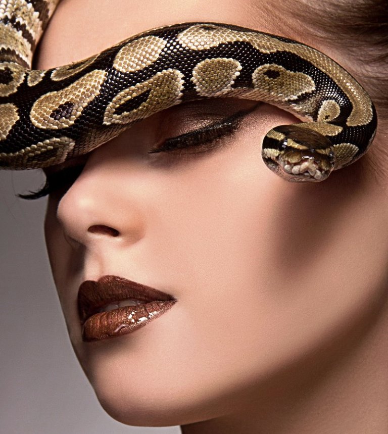 Женщины гадюки. Девушка змея. Фотосессия со змеями. Красивые девушки со змеями. Красивая девушка со змеей.