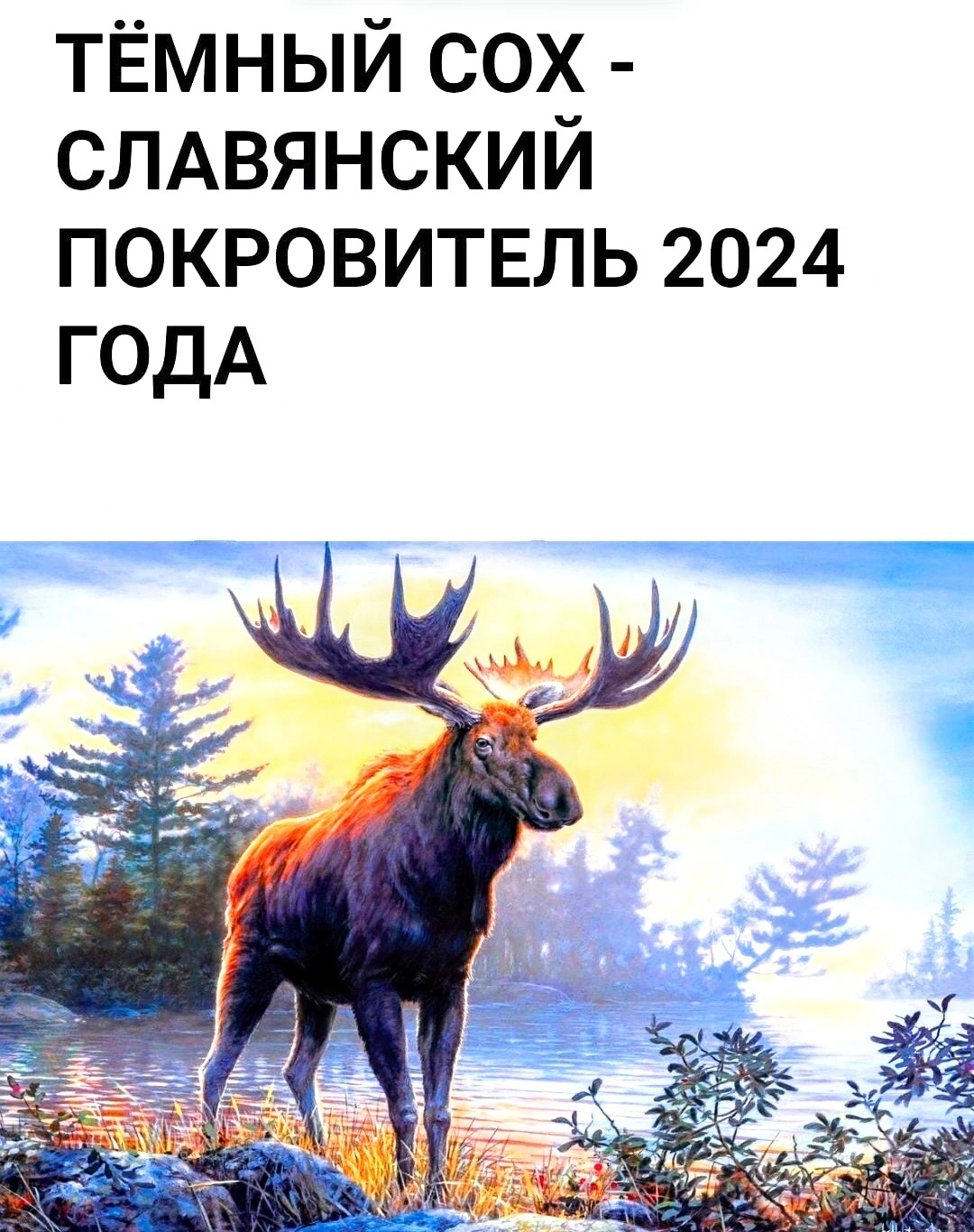 Большой годовой СЛАВЯНСКИЙ КАЛЕНДАРЬ годослов жетон Гознак СПМД 2023 г Темный Со