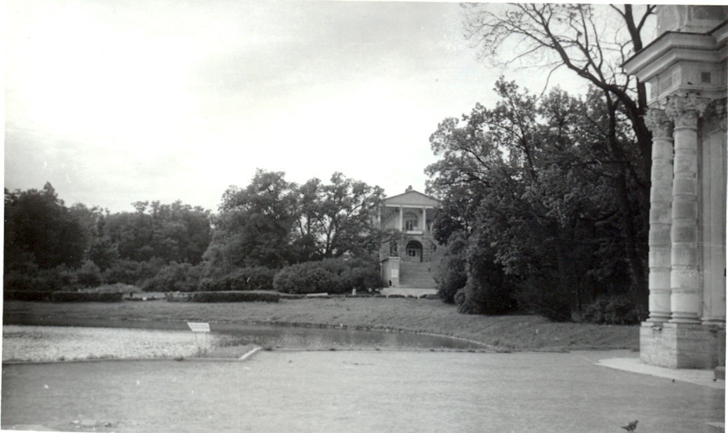 Галерея Камерона в 1975 году