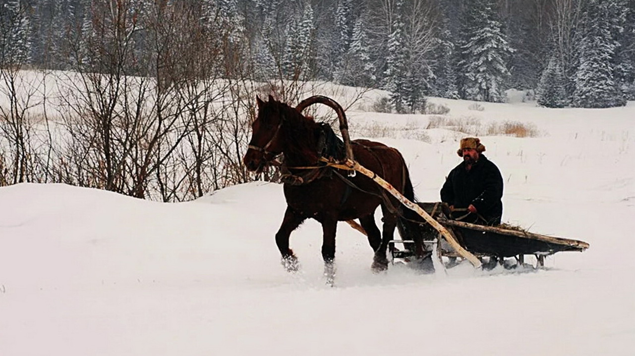 Невдалеке стояла телега запряженная. Лошадь запряженная в сани зимой. Лошадь с санями зимой. Лошади зимой. Сани зимой.