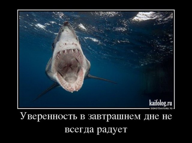 Партизанов нет. И не будет! (Александр Йорген Воронцов) / Проза.ру