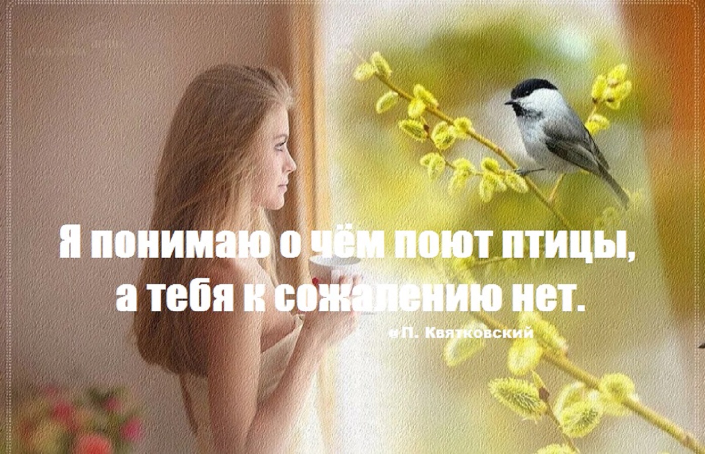 Я понимаю о чём <b>поют</b> <b>птицы</b>, а тебя к сожалению нет. 