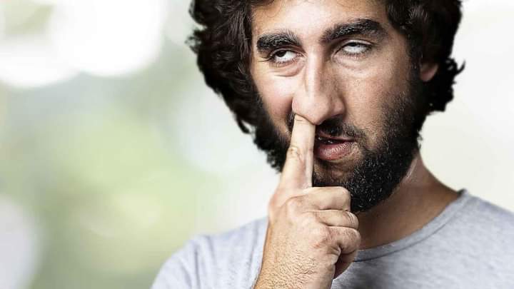 НЛО и Чупокабра...