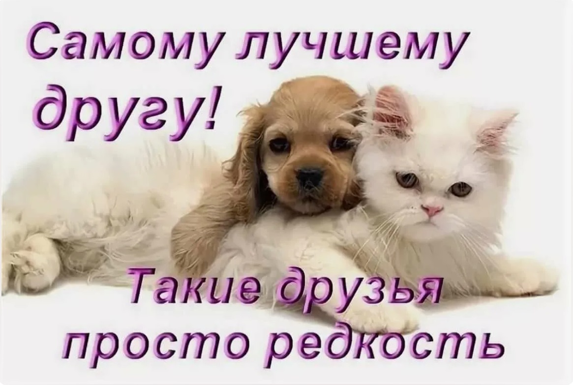 Картинки Друзьям Посвящается