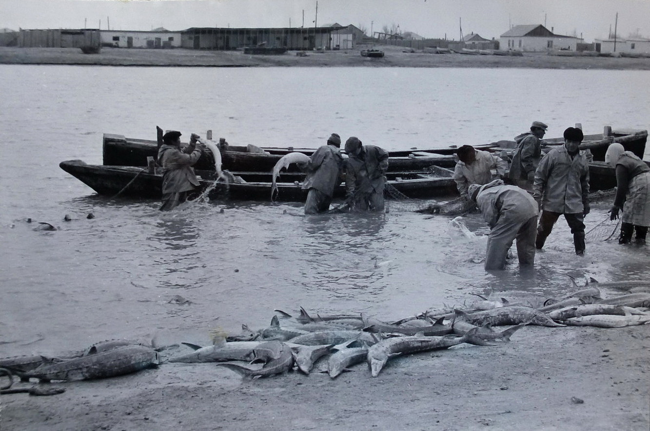 Белуга в волге 1924 самая большая