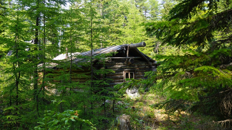 Зигзаг времени 29