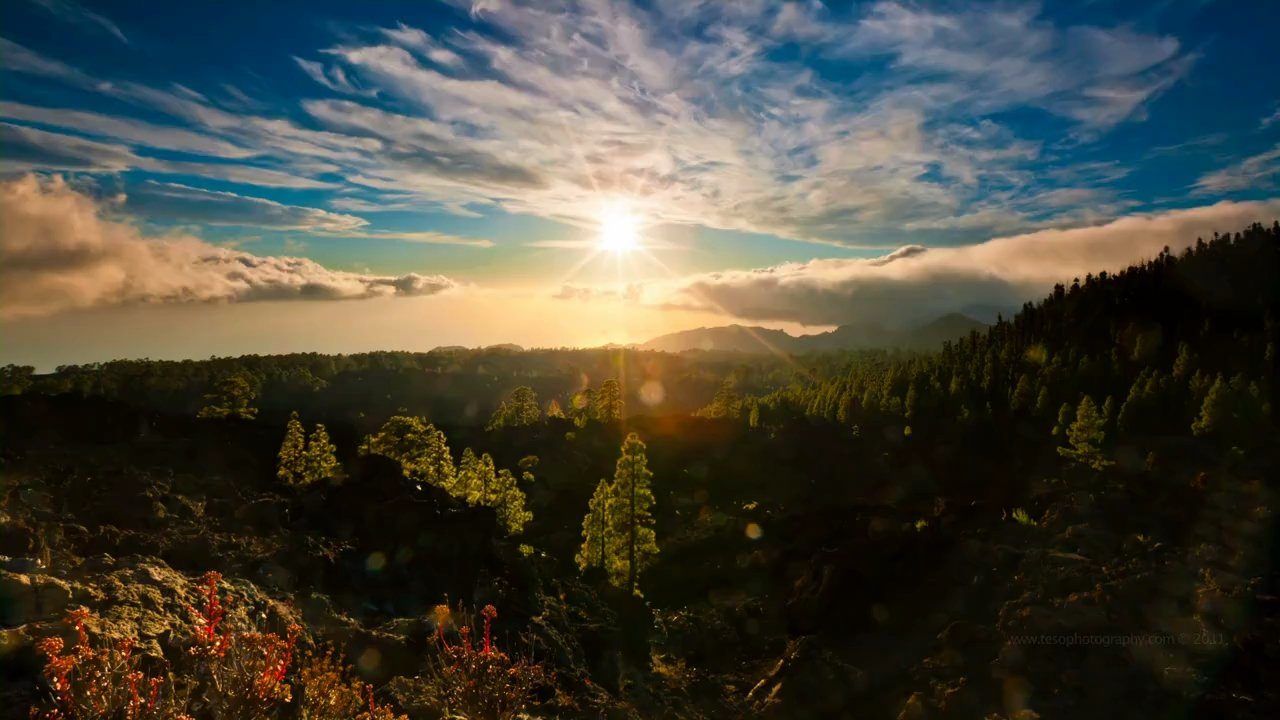 До исступлённости