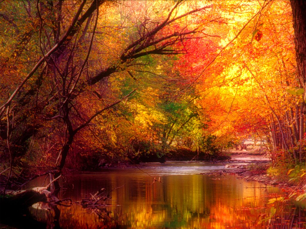 Полыхающий сентябрь