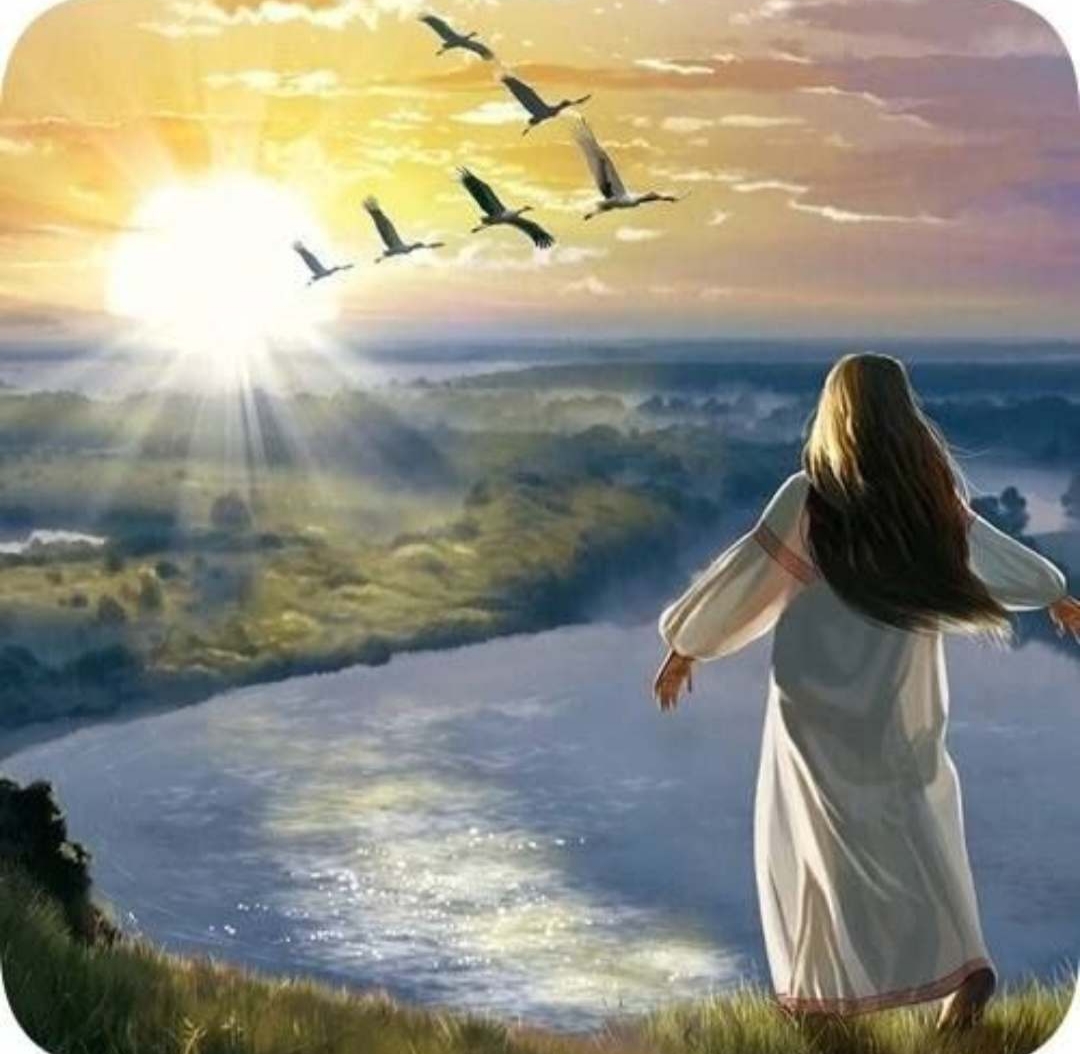 Даже птицы летят назад