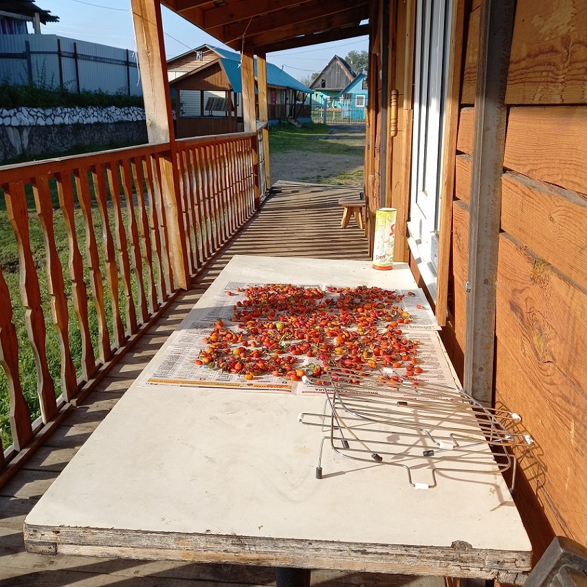 Метановый душ 8. Ярослава и Мирослава