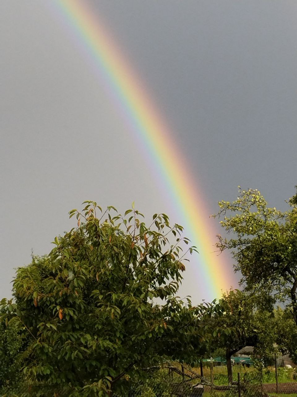 Позволь себе быть собой