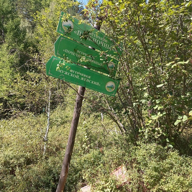 Метановый источник 10. Хонгор-Уула