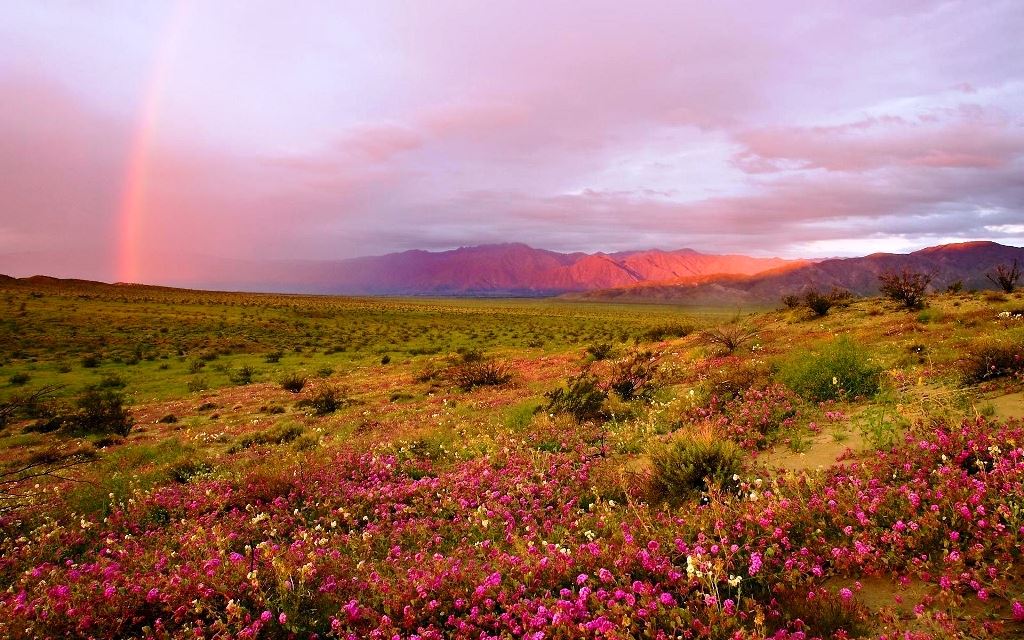 Анатолийской Аратты цивилизация