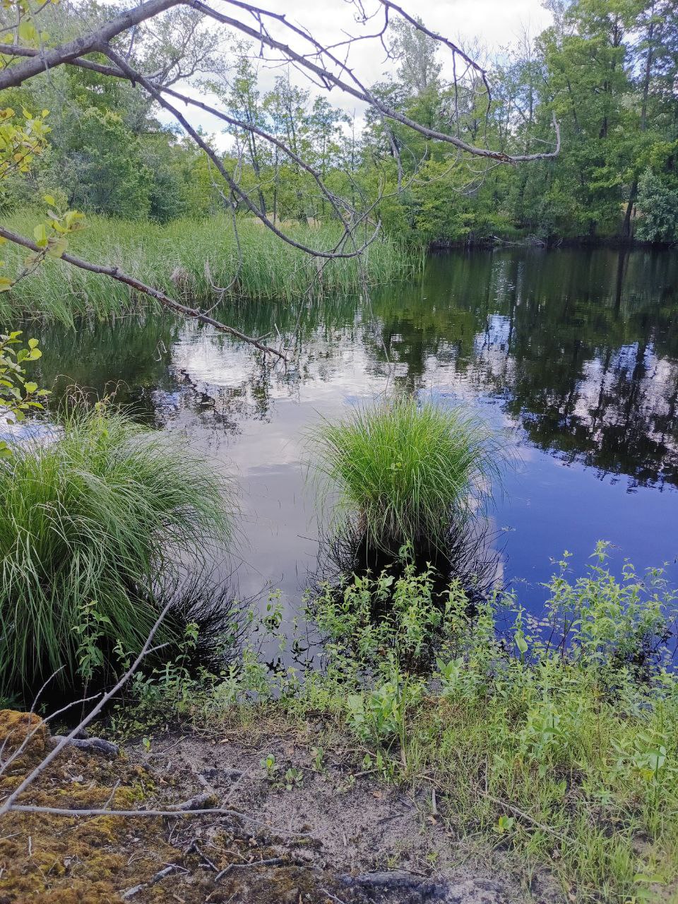 По течению не плыви