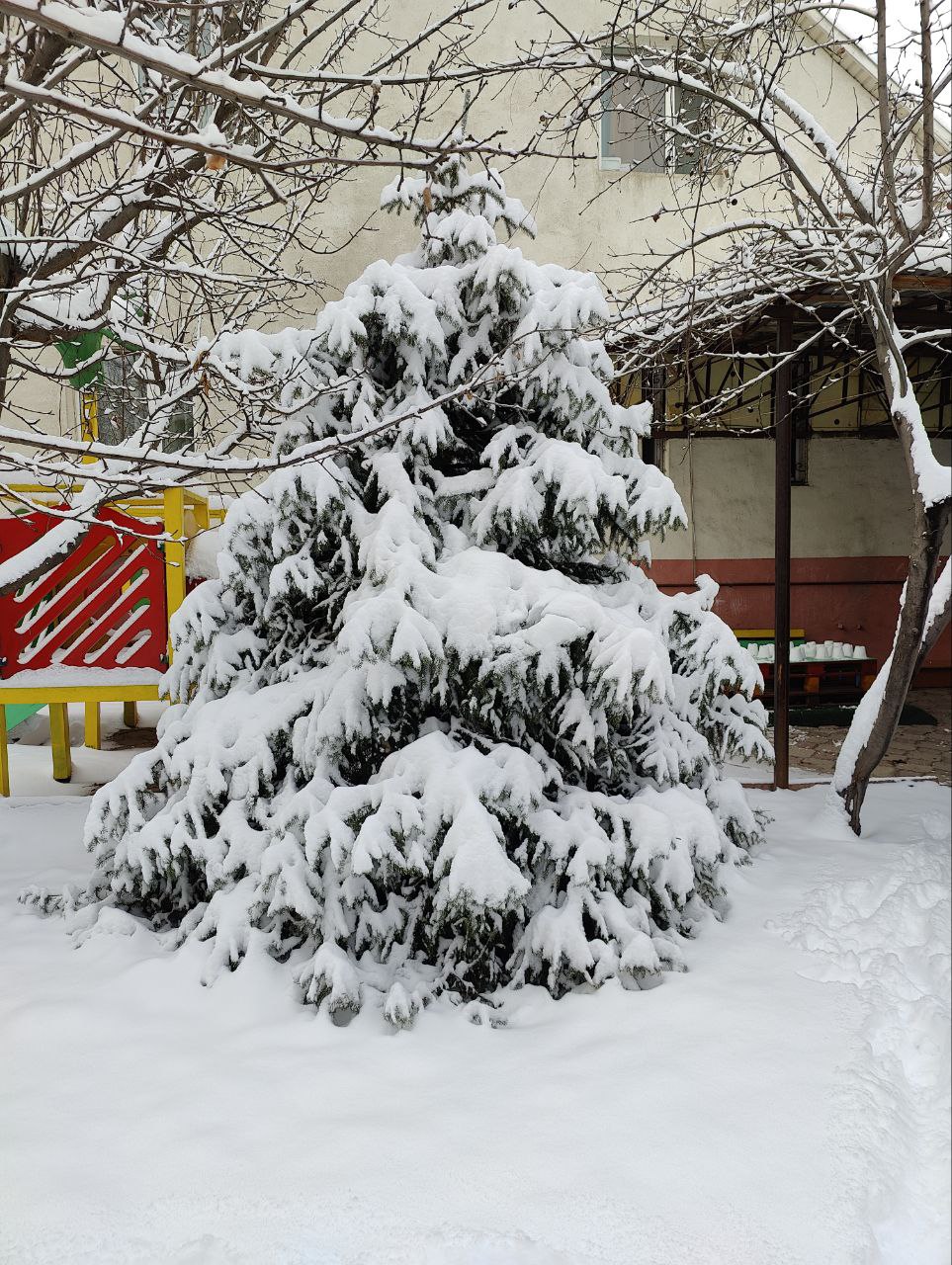 Скоро будет маскарад