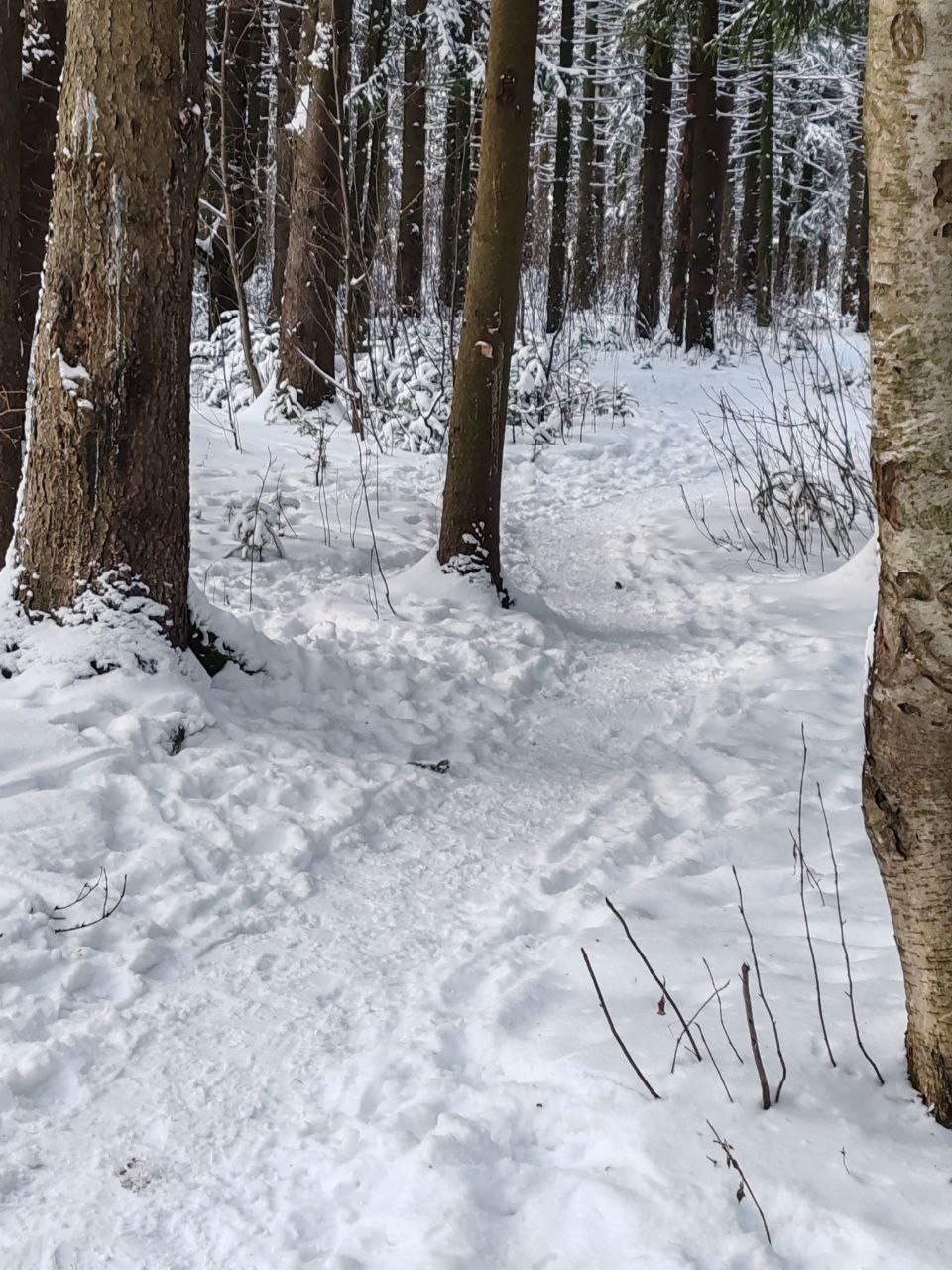 Каждый шаг оставляет следы