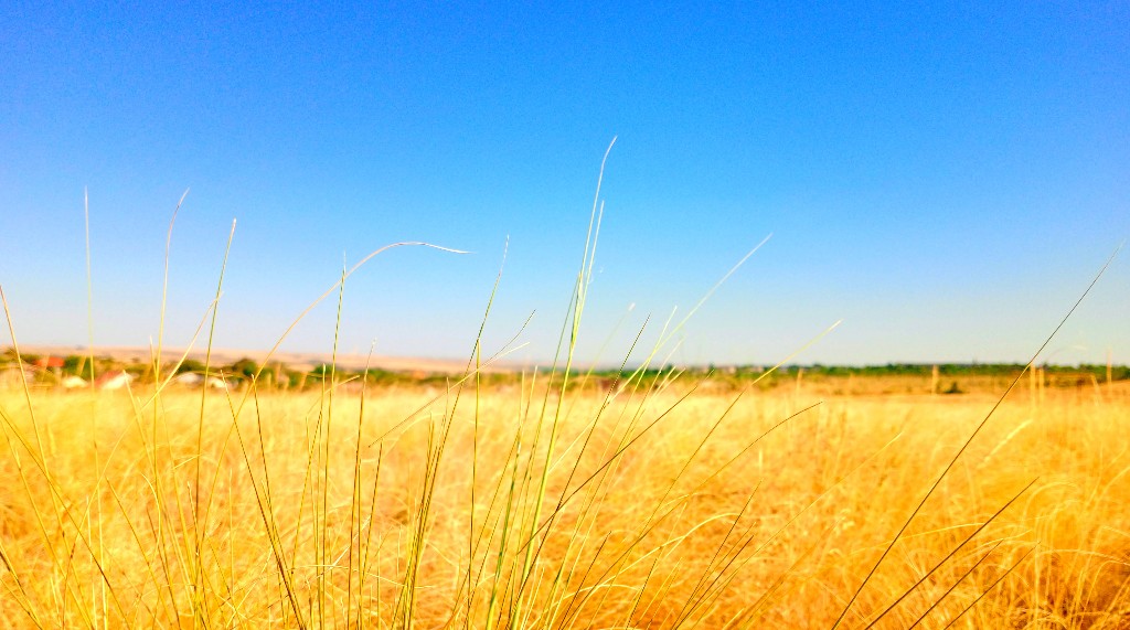 Славянские названия месяцев