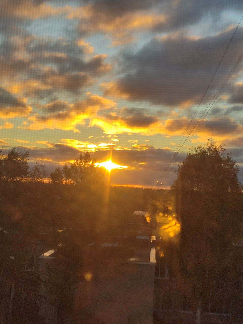 Не дай вам бог...