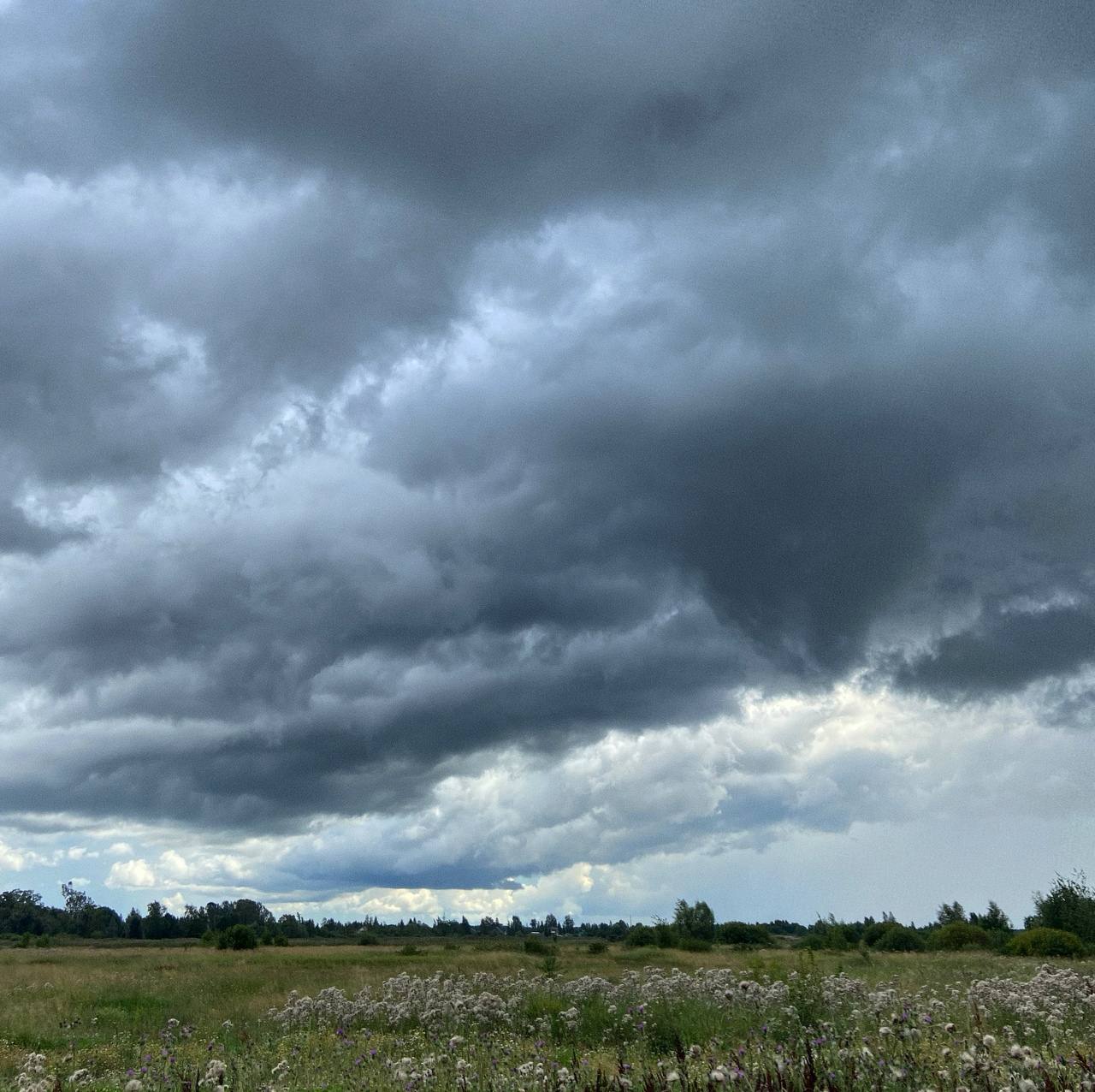 высшая цена