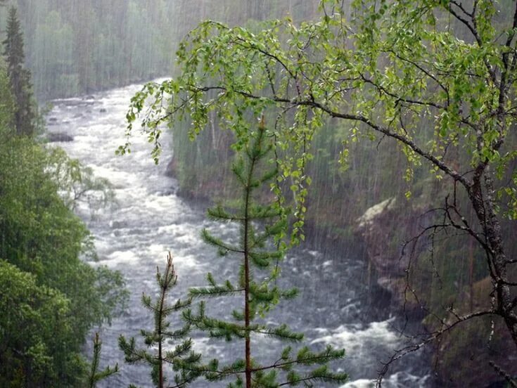 Авитар. Глава 2