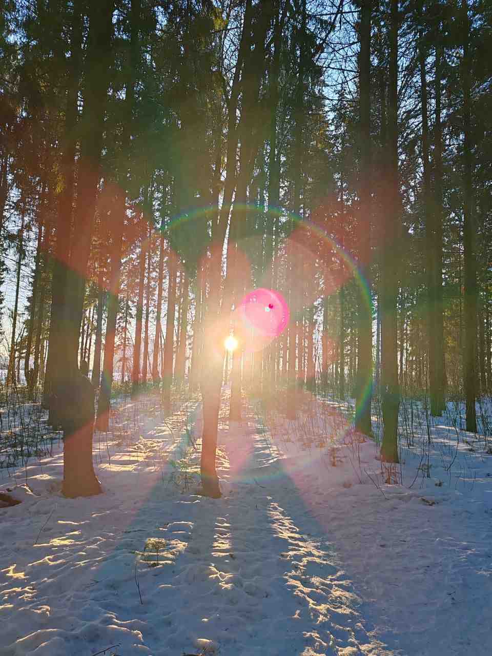 Бумеранг всегда возвращается