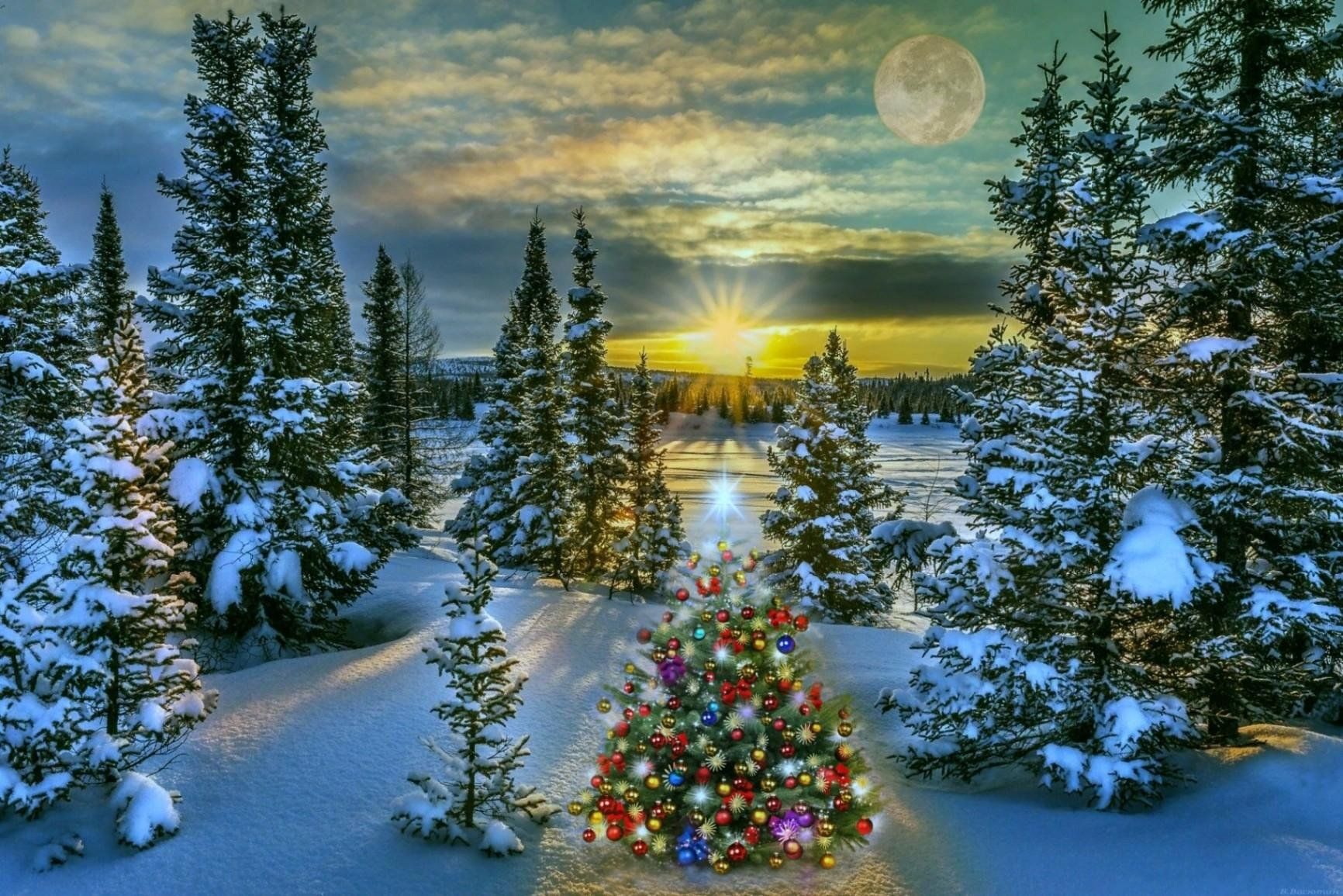 Авитар. Глава 10