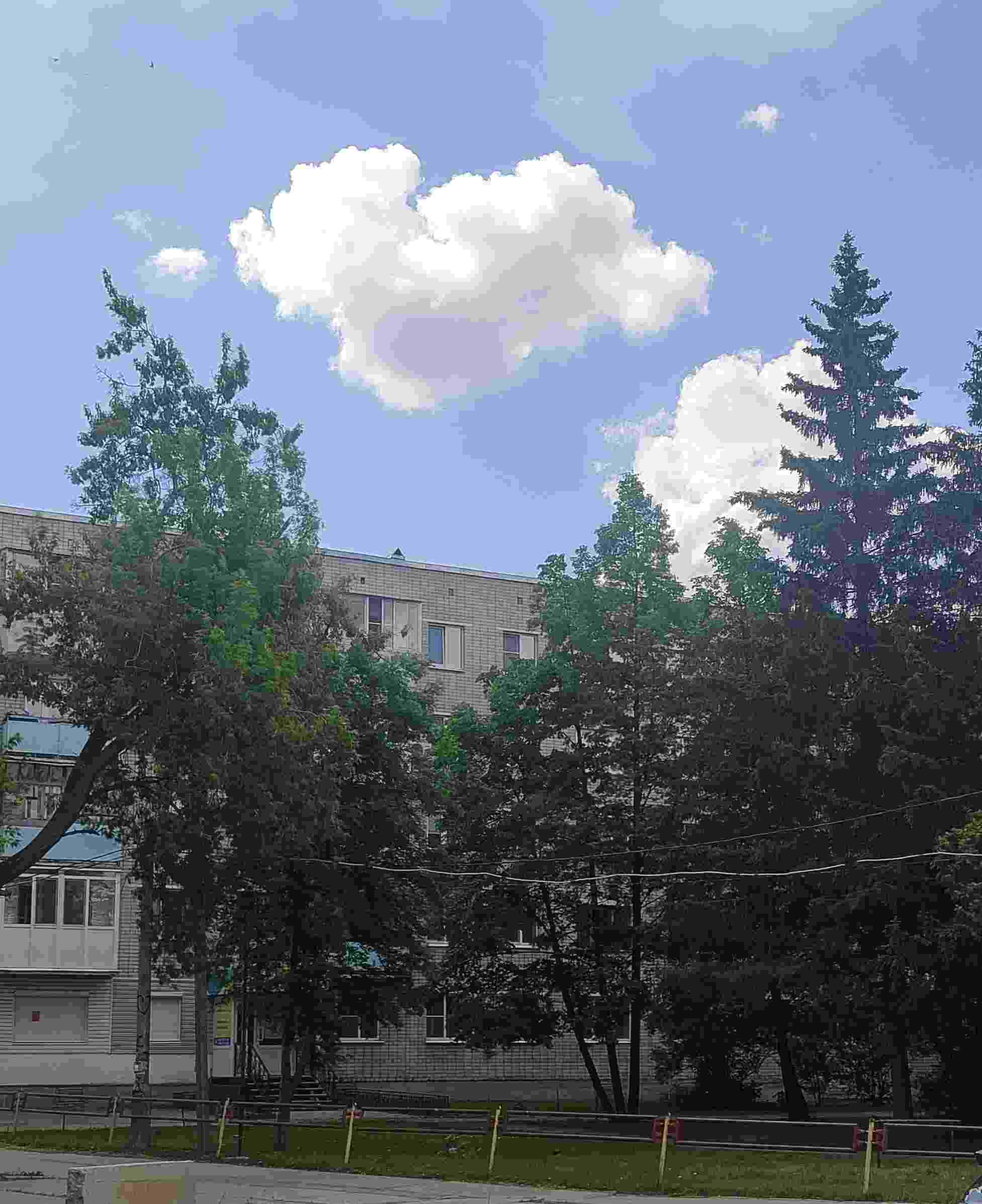 Будь новой, к новой жизни готовой