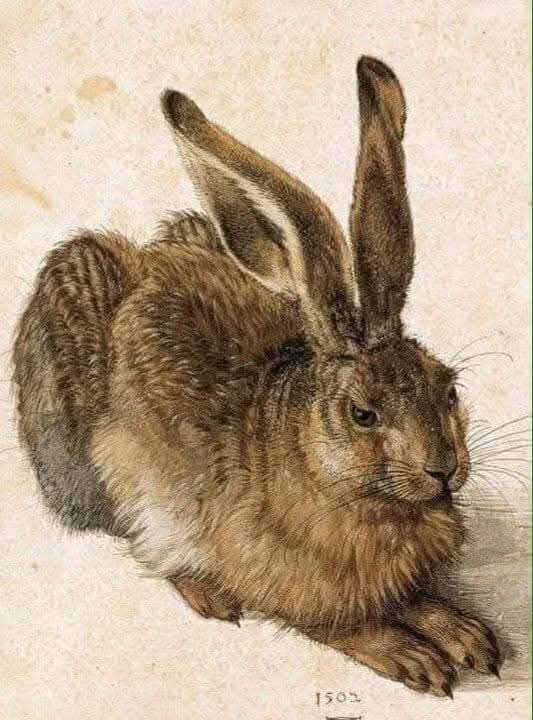 Альбрехт Дюрер...