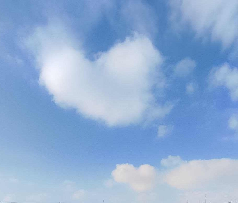 Слова, слова, опять пустые обещания