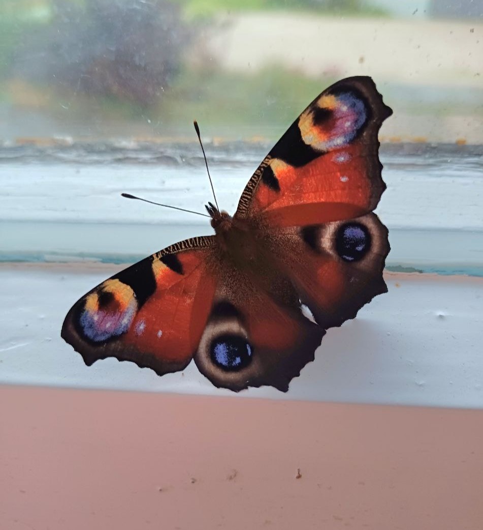 Из малого большое сложено