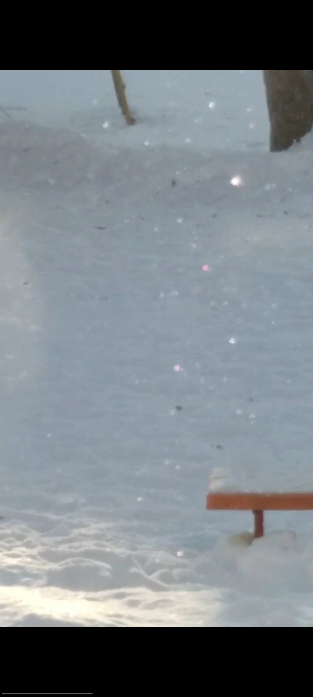 Королева Весна