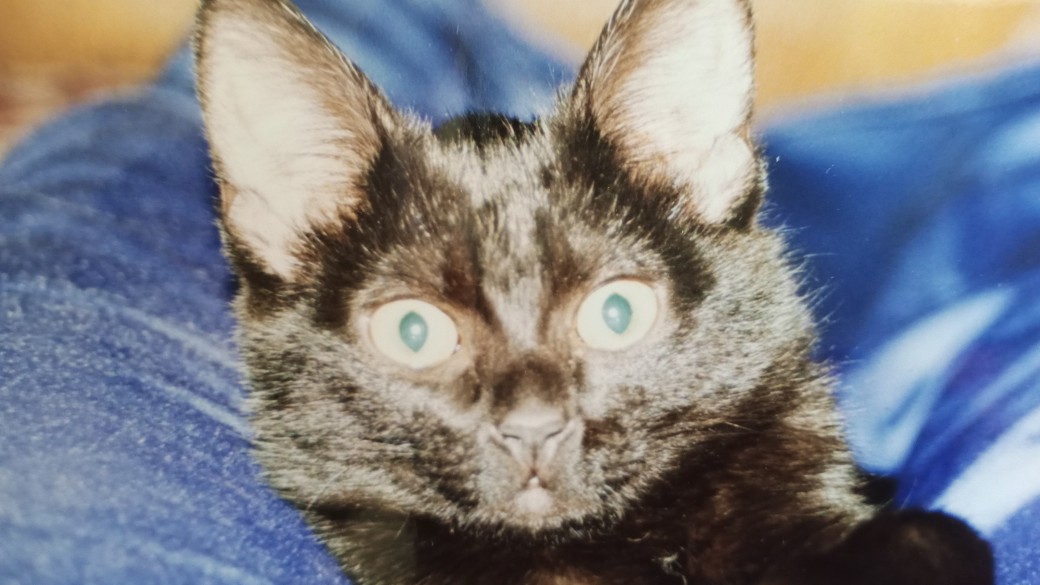 Душевно. Боль. Ной. Боль