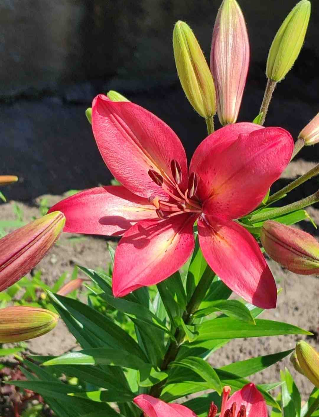 Чего хочешь сама реши