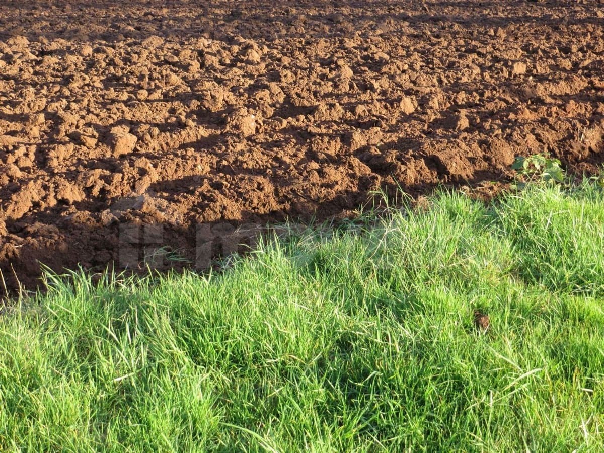 Душевно. Боль. Ной. Ной