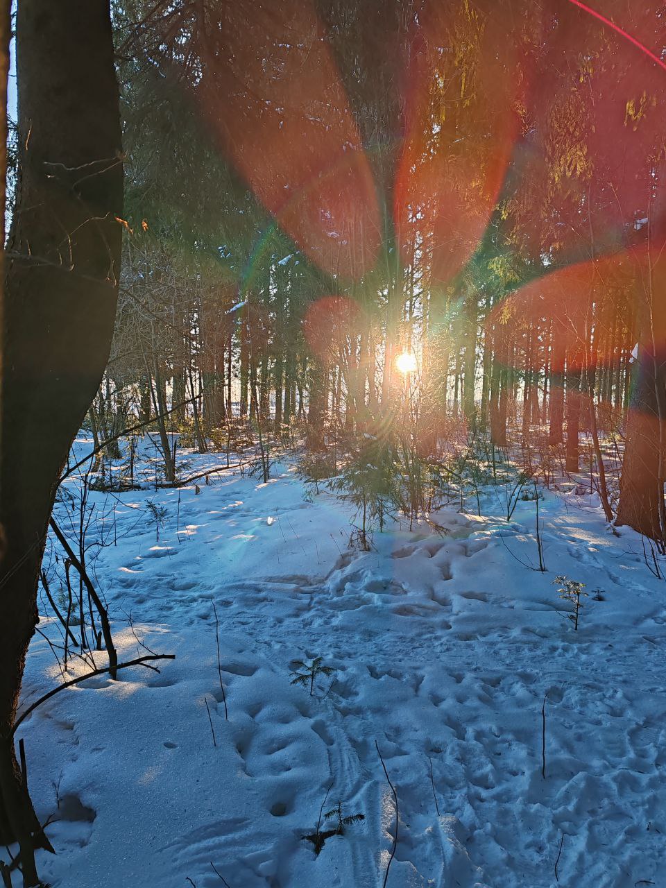 Очень я весну хочу