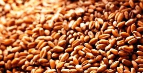 ХЛЕБ наш Насущный...