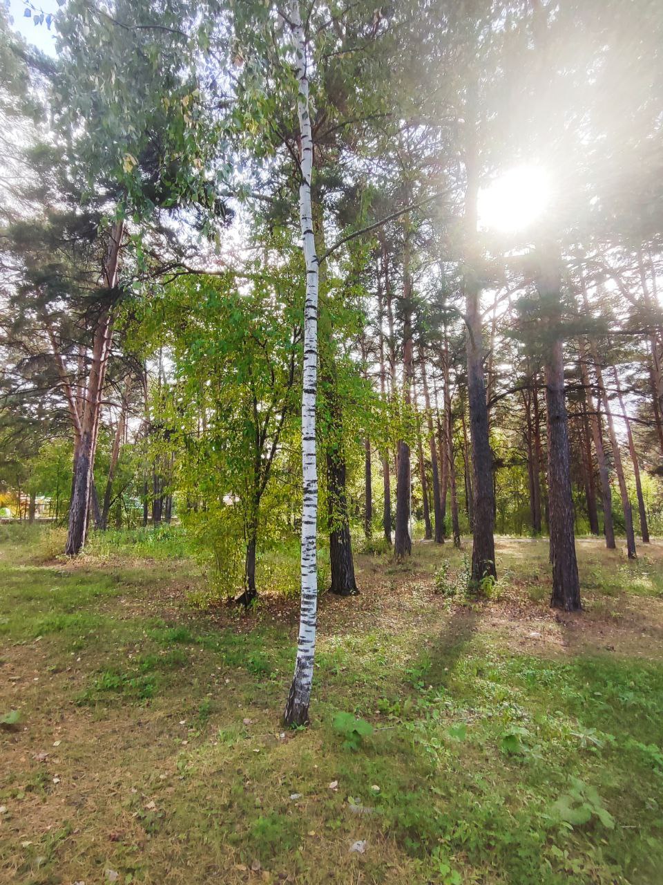 Русь-Россиюшка хлебосольная