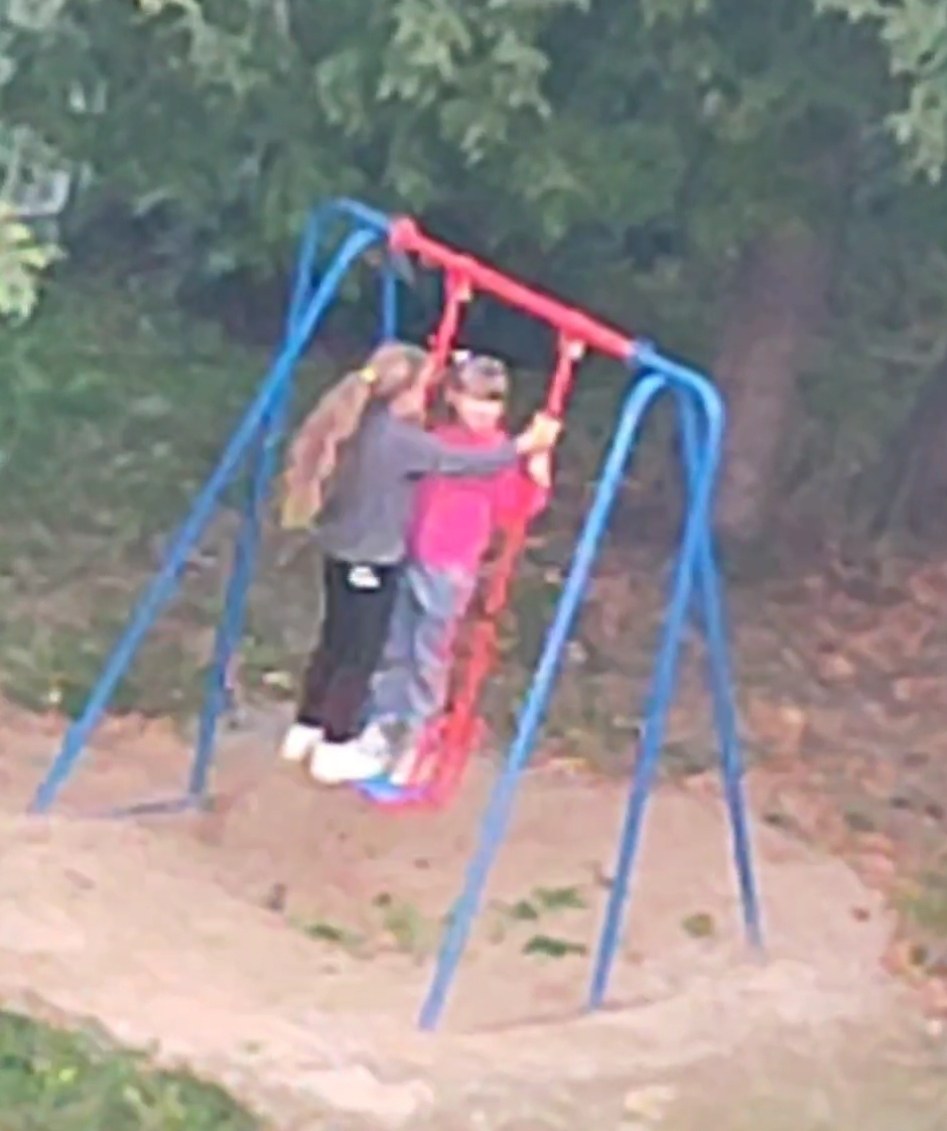 Жизнь, как качели